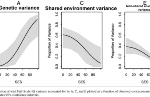 Wysoka odziedziczalność IQ świadczy o mniejszym wpływie środowiska niż sądzono