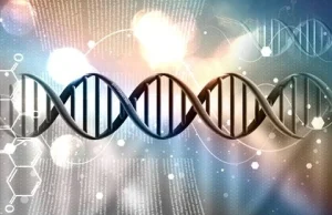 Badania nad bliźniętami dowodzą, iż homoseksualizm nie ma uwarunkowań w DNA