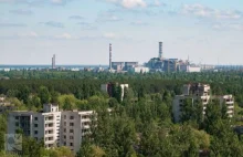 Znakomite zdjęcia pokazują jak natura przejmuje Czarnobyl i Prypeć