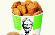 Do KFC trafią kurczaki z „roślinnego mięsa”. Nie odróżnisz ich od kurczaka