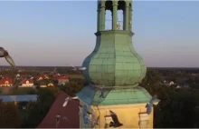 Kościoły w Polsce stanowią schronienie dla rozmaitych gatunków ptaków