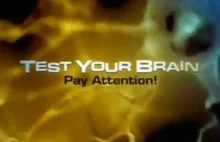 Test Your Brain - program National Geographic o sekretach umysłu