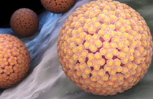 Skuteczność szczepionki przeciwko HPV wyższa niż zakładano