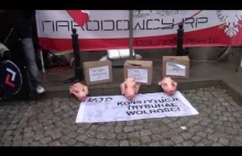 Świńskie ryje za demonstracją KOD pod Trybunałem Konstytucyjnym