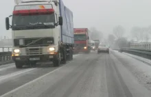 Ponad 150 tys. zł mandatu – kara dla polskiego kierowcy ciężarówki