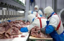 WTO: rosyjskie embargo na wieprzowinę nielegalne