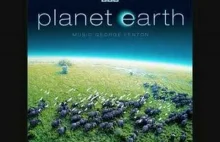Planet Earth - A School Of 500