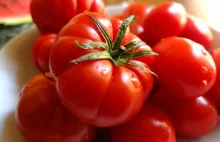 Pomidor pikantny jak papryczka chili? Inżynieria genetyczna doda mu ostrości.