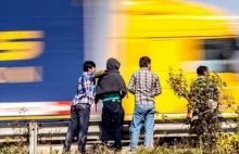 Imigranci w Calais zaatakowali kierowcę nożem oraz gazem pieprzowym i okradli
