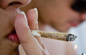 Stany USA ustawiają się w kolejce do pełnej legalizacji marihuany!