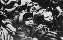 Była więźniarka obozu Auschwitz: rany nigdy się nie zabliźnią