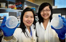 Dwie studentki stworzyły bakterię, która zjada plastik i zamienia go w...