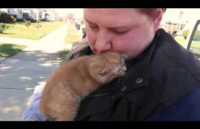 Uratowany kot okazuje wdzięczność.