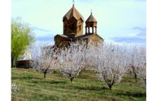 Sensacyjne odkrycie w Armenii.