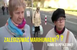 Czeskie mity cz. 2 - marihuana w Czechach