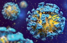 Supersilne przeciwciało stworzone do walki z HIV. 'To ekscytujący przełom'