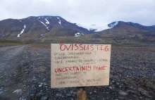 Rośnie ryzyko erupcji islandzkiego wulkanu. Są pęknięcia na lodowcu