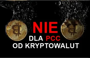 Bloomberg o proteście polskiej społeczności kryptowalutowej