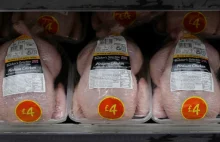 75% kurczaków w supermarketach jest skażonych śmiertelną bakterią