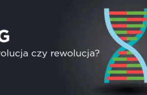 5G - ewolucja czy rewolucja?