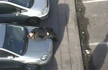 Uwaga na fałszywych parkingowych przy PKP w Lublinie. Jeden "zasnął" na masce