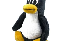 Linux 5.5 wydany ze wsparciem Rasberry Pi 4