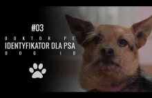 #03 Doktor PE - Identyfikator dla psa / Dog ID
