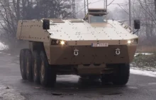 AMV 8x8 od Rosomaka dla ZEA