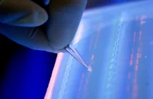 Dane z całego świata zmieszczą się na 4 gramach DNA