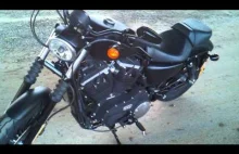 Harley Davidson Iron 883