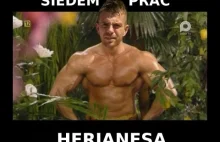 Wieczór Kawalerski: Siedem Prac Herjanesa