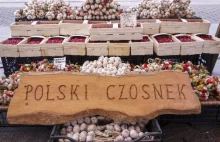 Eksport polskiej żywności rośnie jak na drożdżach. Wzrost o ponad 400 proc.