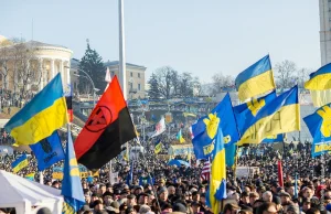 Piechociński: ukraińska gospodarka zaczyna się rozpadać