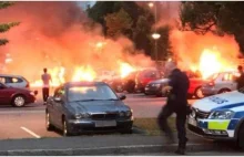 Wybory w Szwecji będą prawdziwym trzęsieniem ziemi. Szwedzi mają dość.