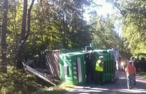 Toruń. Wypadek ciężarówki przewożącej świnie. Padło 10 zwierząt