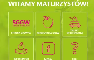 : Innowacyjny miód suszony