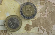 Kiedy Polska powinna wejść do strefy euro?