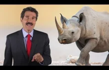 Stossel: Save the Rhinos!