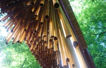 Muzyczny most zaskakuje chodzących po lesie