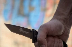 Niemcy: Kraje związkowe chcą zabronić noszenia noży