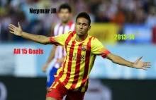Neymar JR● All 15 Goals●2013-14●