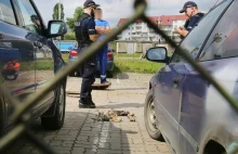 Makabryczne znalezisko na parkingu w Olsztynie