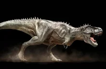Tyranozaur (T. rex) ciekawostki.