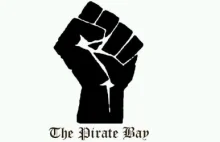 Piractwa może nie da zatrzymać. Ale co ważniejszych piratów – owszem