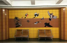 Ptaki Davida Gilmoura opanowały warszawskie metro [GALERIA]