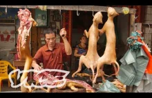 Zabijanie psów w Yulin