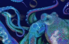 Octopuses Rolling on MDMA Reveal Unexpected Link to Humans