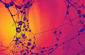 Elektryczne synapsy – rewolucja w dążeniu do sztucznej inteligencji?
