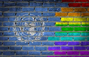 ONZ będzie promować LGBT