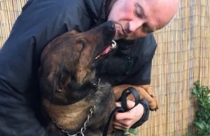 Policjant nie chce odejść na emeryturę bez psa. Petycję poparły wiele osób.